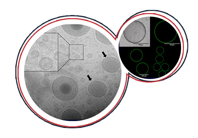 30 07 Magtech LIPOSSOMAS NANOMICRO