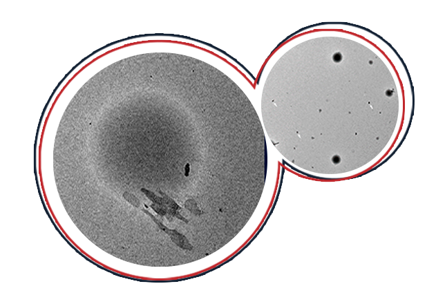 31 07 MAGTECH PARTÍCULAS POLIMÉRICAS NATURAIS NANO MICRO